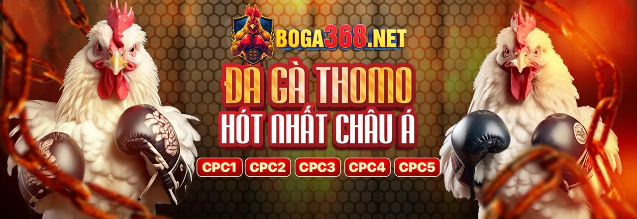 Hỗ trợ khách hàng 24/7 của B66