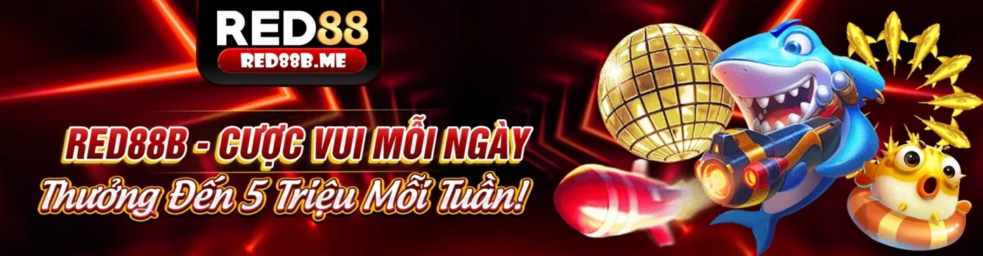 Hướng dẫn tải ứng dụng b66