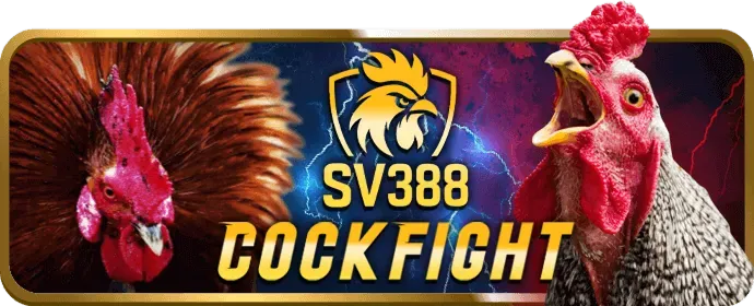 Bước 1: Đăng Ký Tài Khoản B66